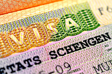 Citizenship by Investment Application Requirements